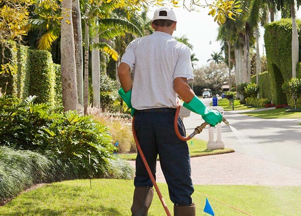 About West Berlin NJ Pest Control Pros